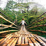 Back view of young woman on suspension wooden bamboo bridge across Loboc river in Bohol, Philippines
